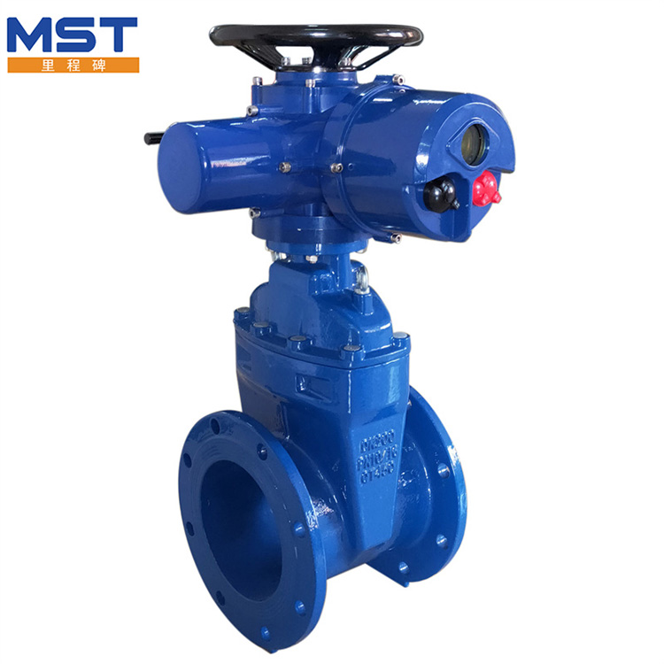 gate valve